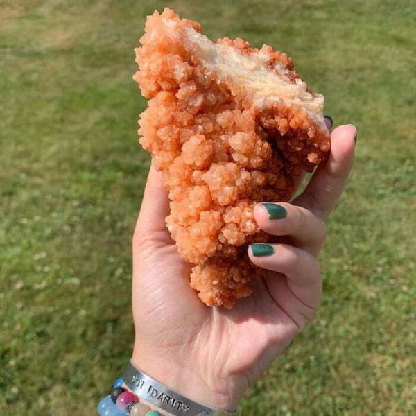 Things That Look Like Food (39 pics) Things That Look Like Food (39 pics)