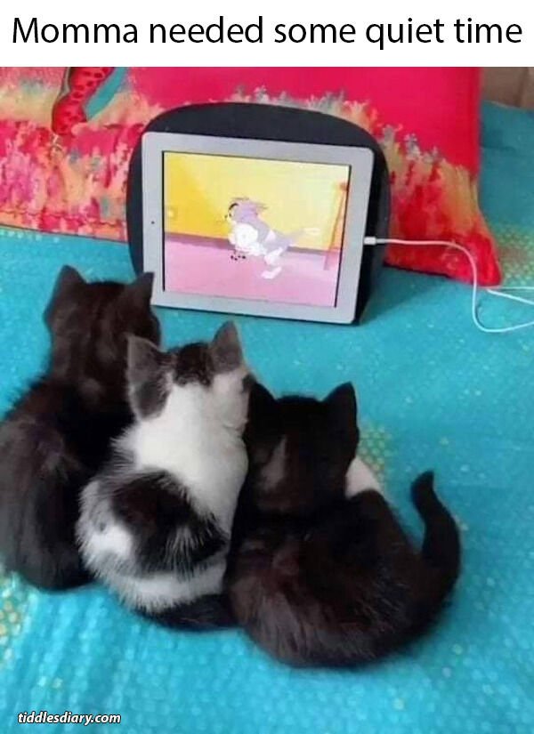Bad Days Happen (35 pics)