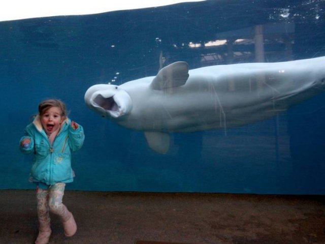 Acid Picdump 1 (76 pics)