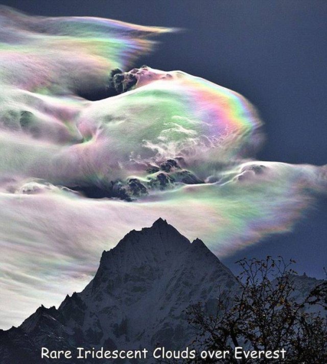 Acid Picdump 1 (76 pics)