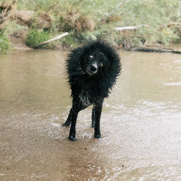 Acid Picdump 1 (76 pics)