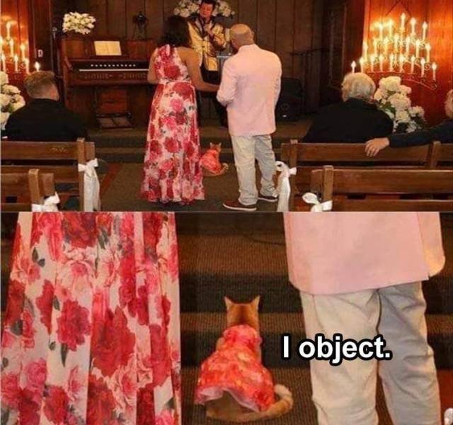 Acid Picdump 2 (76 pics)