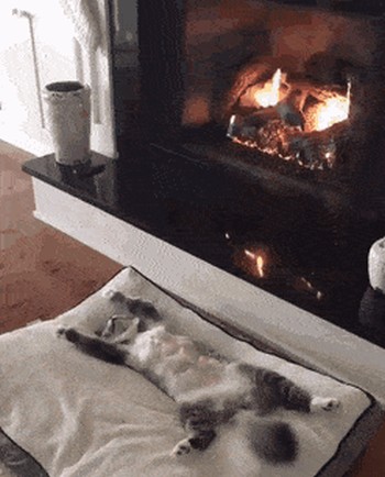 Acid Gifdump, August 16 (25 gifs)