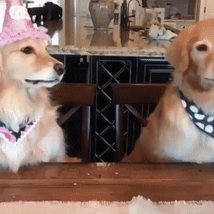 Acid Gifdump, August 16 (25 gifs)