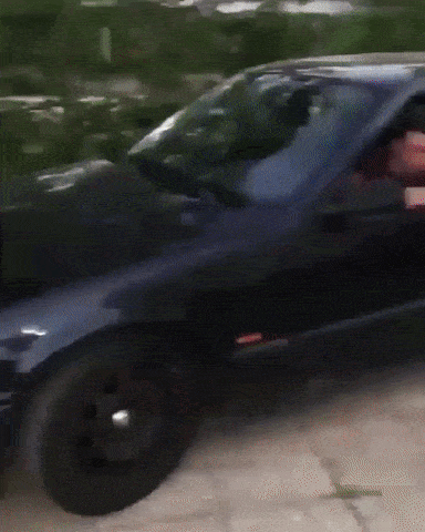 Acid Gifdump, August 16 (25 gifs)