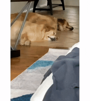 Acid Gifdump, August 16 (25 gifs)