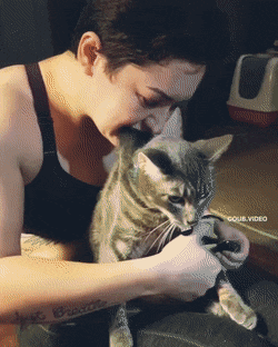 Acid Gifdump, August 16 (25 gifs)