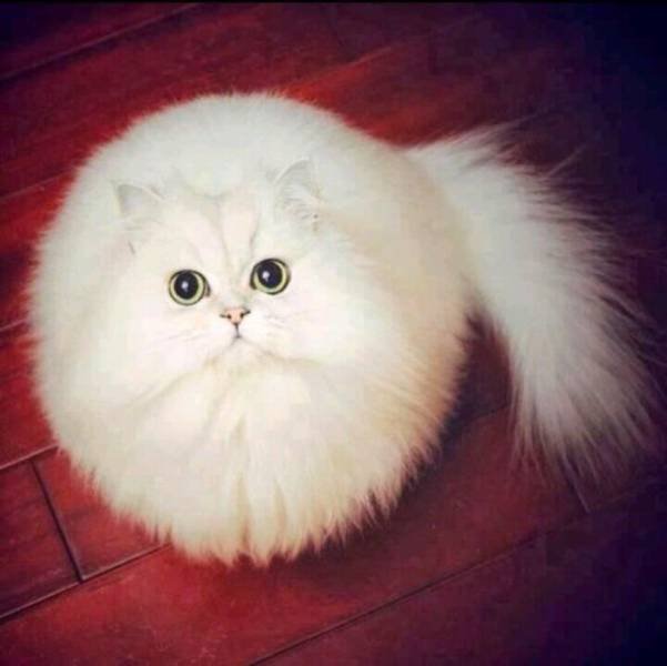 Acid Picdump 1 (79 pics)