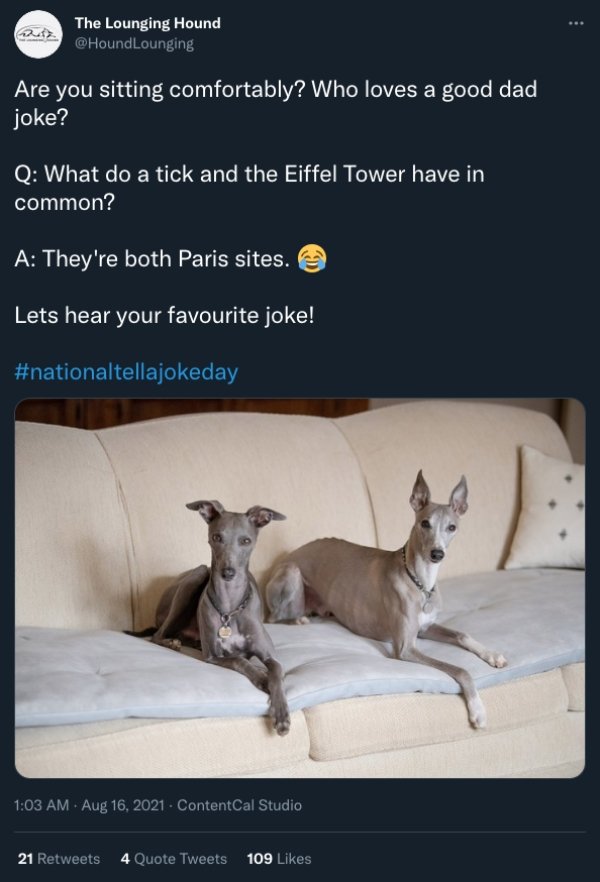 People Share Funny Tweets On The National Joke Day (22 pics)