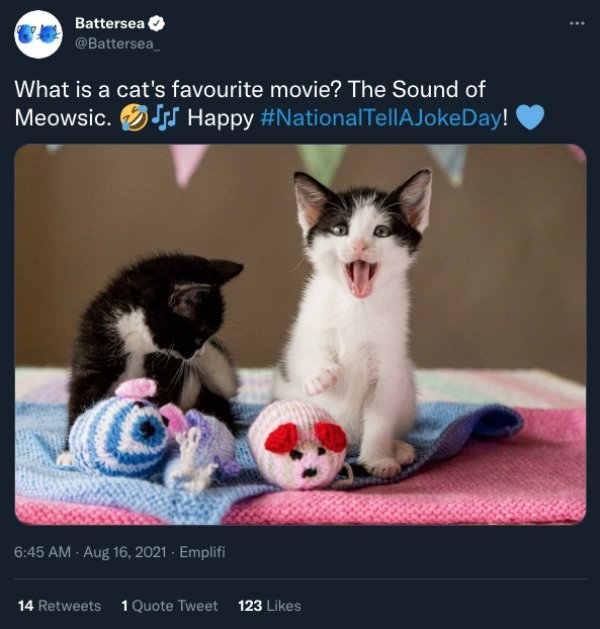 People Share Funny Tweets On The National Joke Day (22 pics)