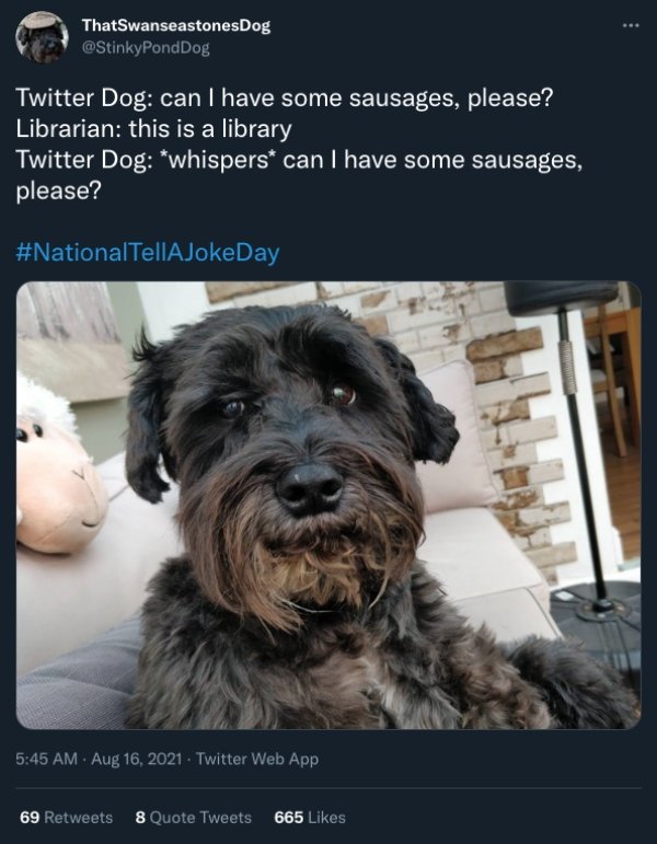 People Share Funny Tweets On The National Joke Day (22 pics)