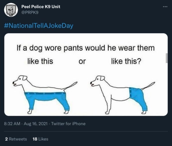 People Share Funny Tweets On The National Joke Day (22 pics)