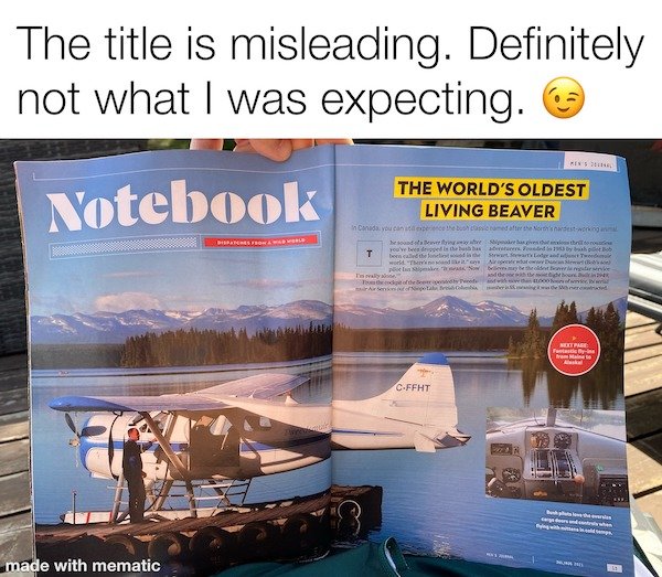 Dirty Humor (38 pics)