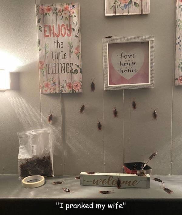 Dirty Humor (38 pics)