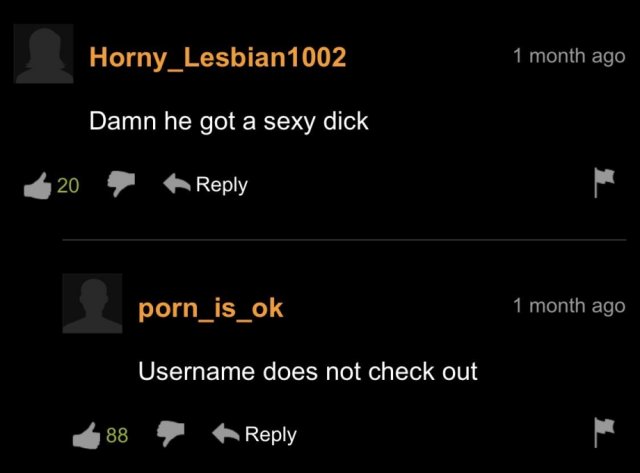 PornHub Comments (36 pics)