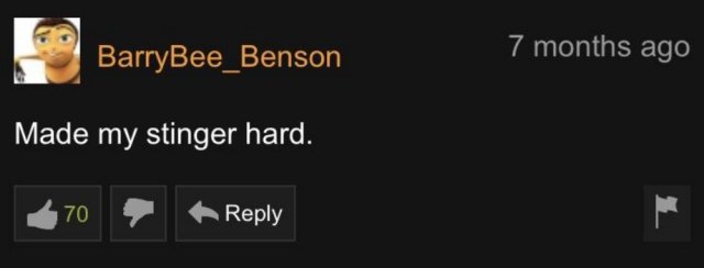 PornHub Comments (36 pics)