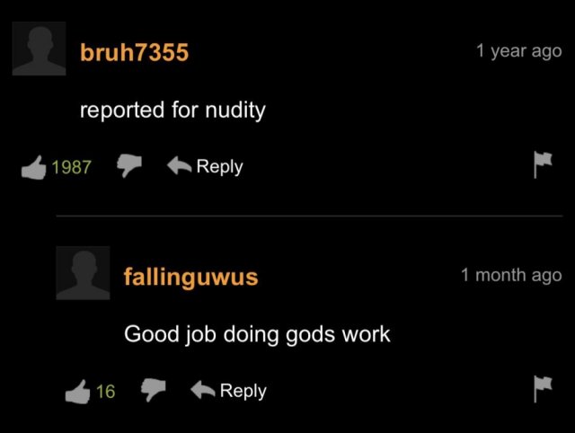 PornHub Comments (36 pics)