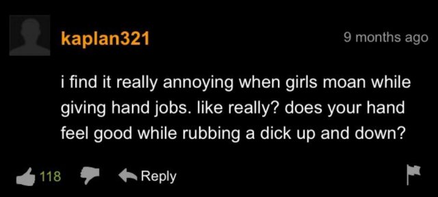 PornHub Comments (36 pics)