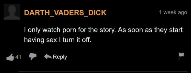 PornHub Comments (36 pics)