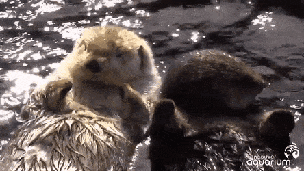 Acid Gifdump, August 17 (25 gifs)