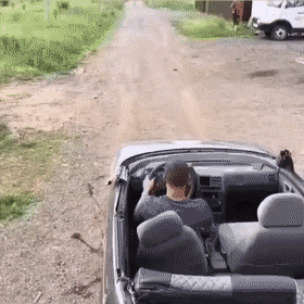 Acid Gifdump, August 17 (25 gifs)