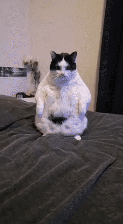 Acid Gifdump, August 17 (25 gifs)