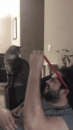 Acid Gifdump, August 17 (25 gifs)
