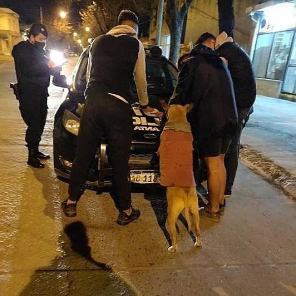 Acid Picdump 2 (77 pics)