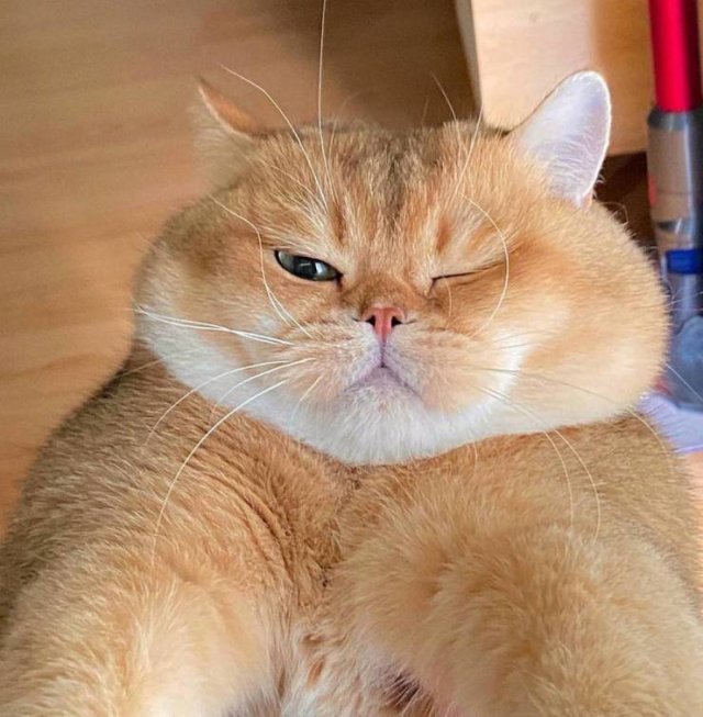 Acid Picdump 1 (79 pics)