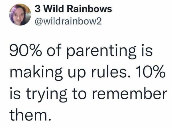 Parenting Tweets (28 pics)