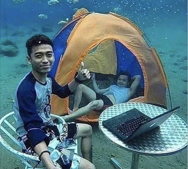 Dumb Things (30 pics)