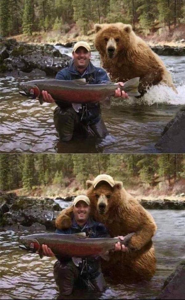 Dumb Things (30 pics)