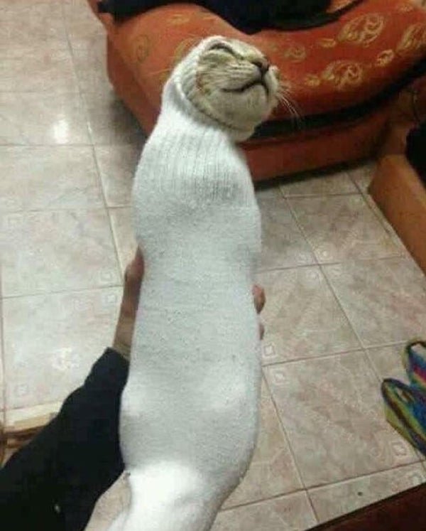 Dumb Things (30 pics)