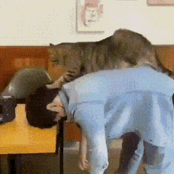 Acid Gifdump, August 18 (25 gifs)