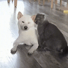 Acid Gifdump, August 18 (25 gifs)