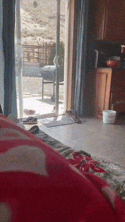 Acid Gifdump, August 18 (25 gifs)