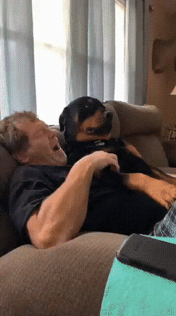 Acid Gifdump, August 18 (25 gifs)