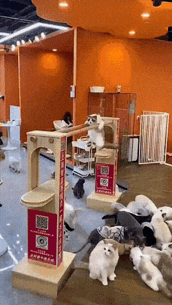 Acid Gifdump, August 18 (25 gifs)
