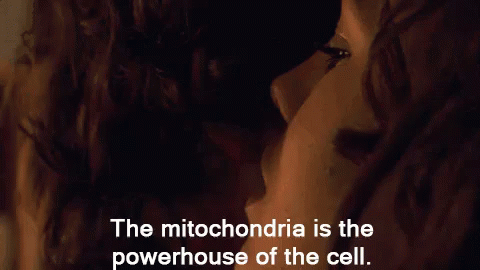 Things Women Love During Love Making (19 gifs)