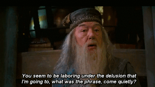 Things Women Love During Love Making (19 gifs)