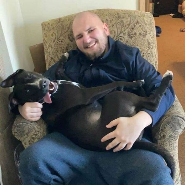 These Dogs Are Broken (43 pics)