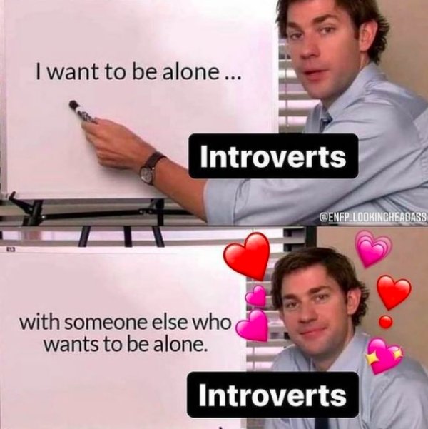 Introvert Memes (30 pics)