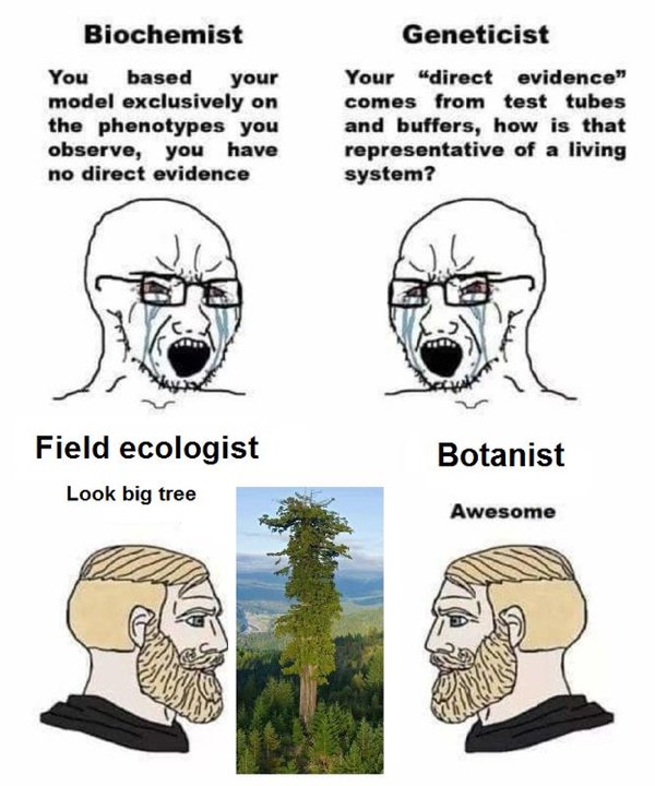 Science Memes (32 pics)