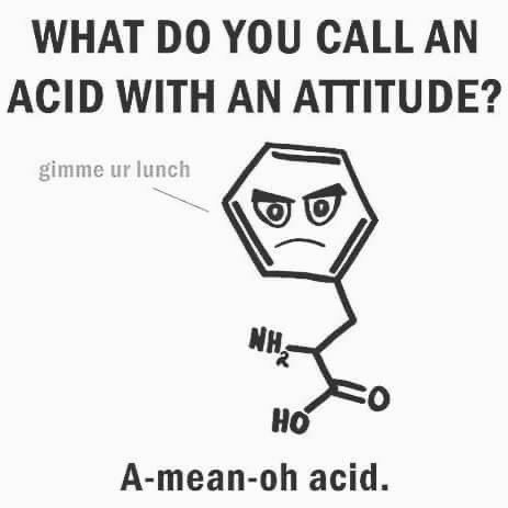 Science Memes (32 pics)