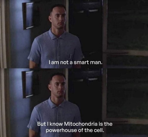 Science Memes (32 pics)