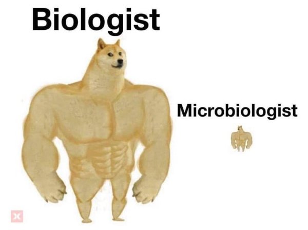 Science Memes (32 pics)