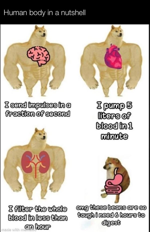 Science Memes (32 pics)