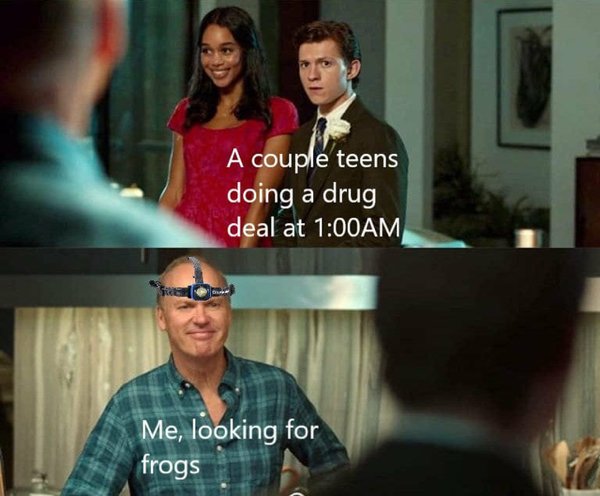 Science Memes (32 pics)