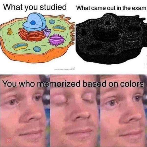 Science Memes (32 pics)