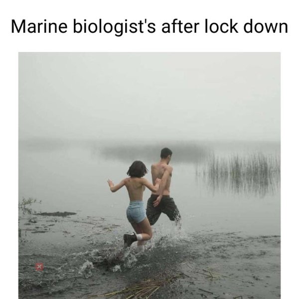 Science Memes (32 pics)